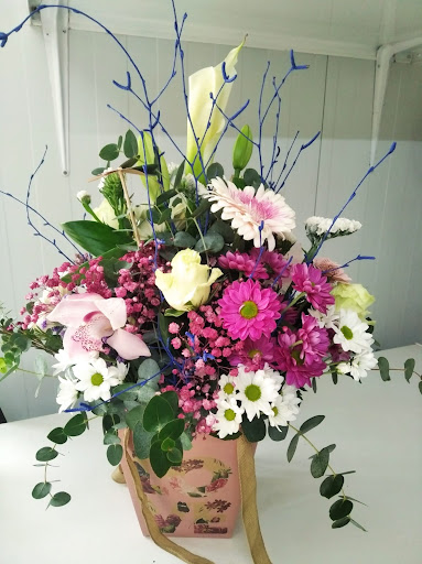Floristeria La Paz