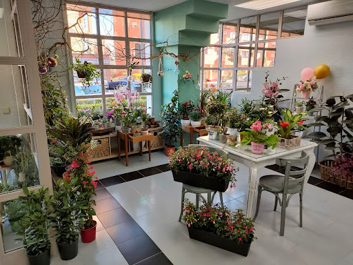 El Jardín de las Hadas