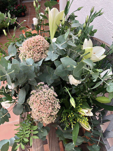 Flores Alme