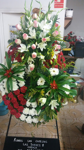 Flores Las Camelias