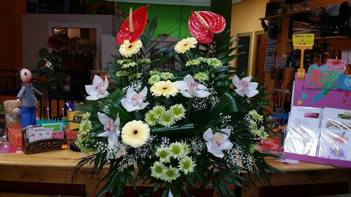 Flores Iris