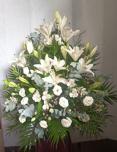 Garrido Floristas