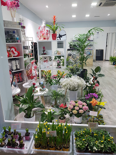 Flor De Loto Floristería Cuenca