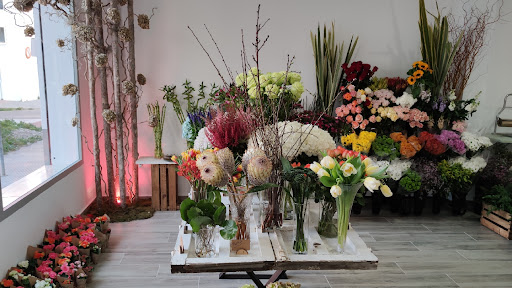 Floristería Florever (Macías Flor)
