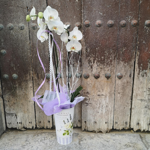 Arte Floral Sweet Carolina