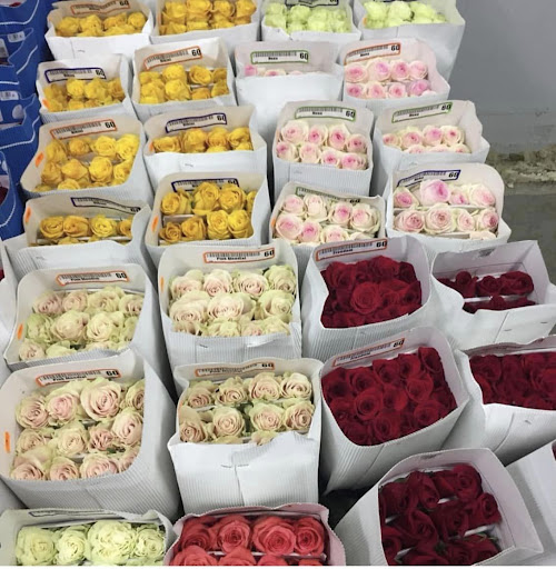Floristería La Rosaleda