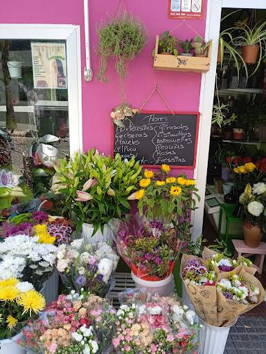 Floristería Ragel