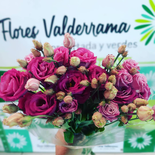 FLORES VALDERRAMA