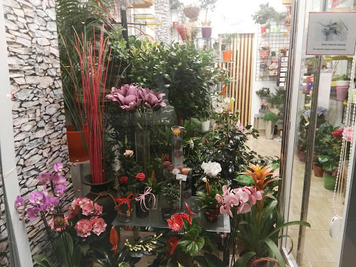 Floristería en Cádiz El Trébol Servicio Interflora