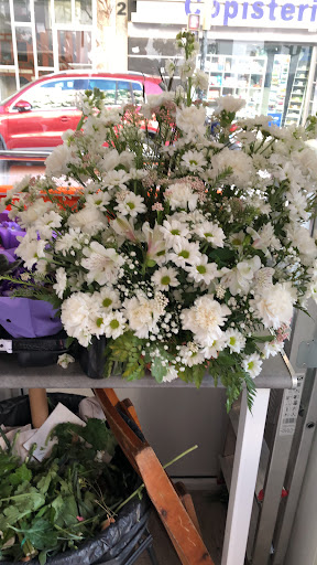 Floristeria Amparo