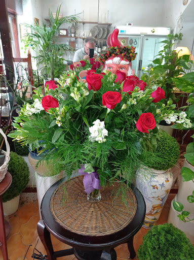 Floristería Cintaflor