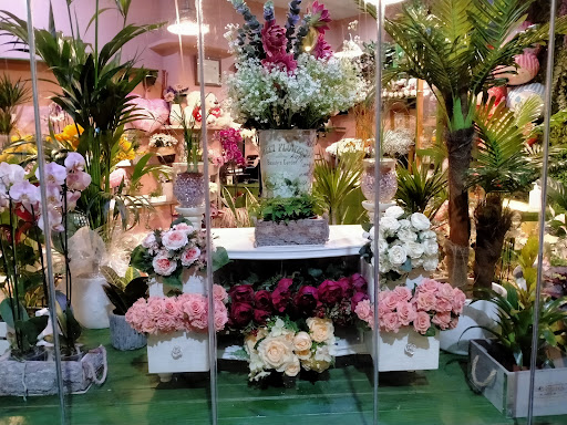 Floristería La Jara V Quinto Centenario