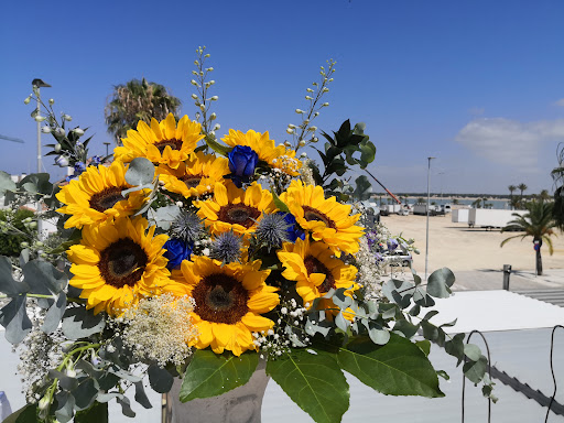 Floristería Sueña la margarita