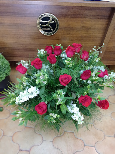 Floristería Cintaflor