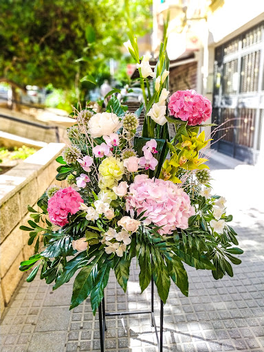 Floristería Córdoba Ramón Luque