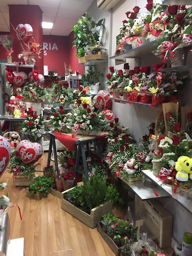 Floristería Gitanillas