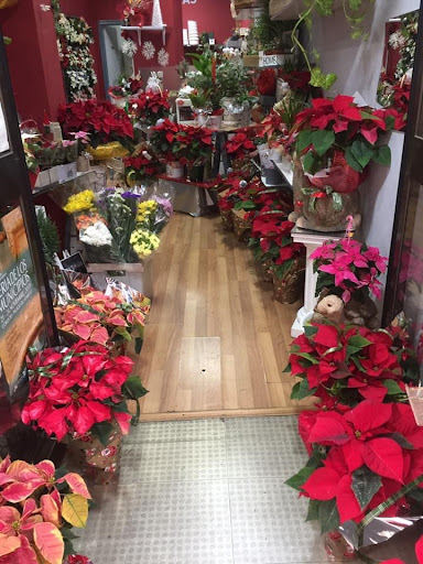 Floristería Gitanillas