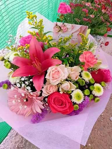Floristería El Paseo