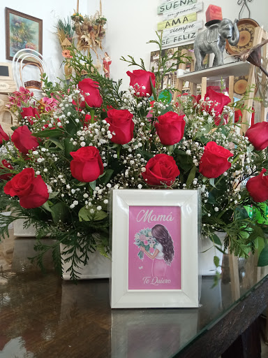 Floristería MAJA