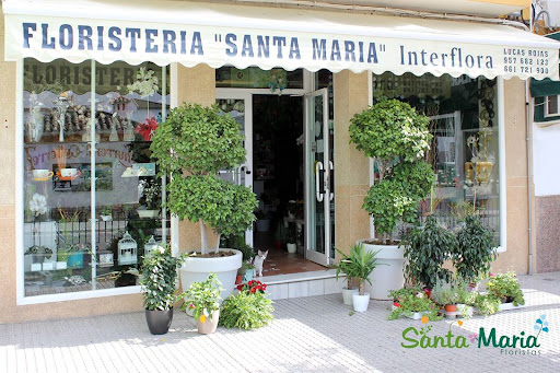 Floristería Santa María Interflora