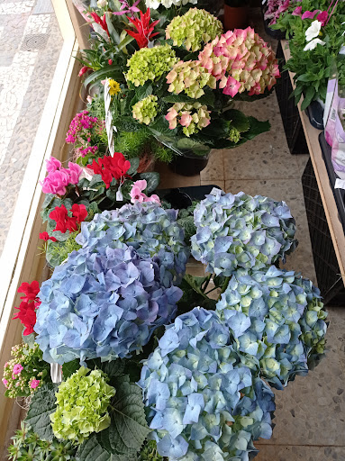 Floristería Nuestra Señora De Fátima