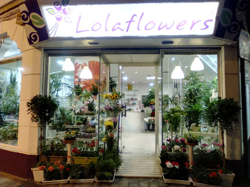 Lolaflowers floristas