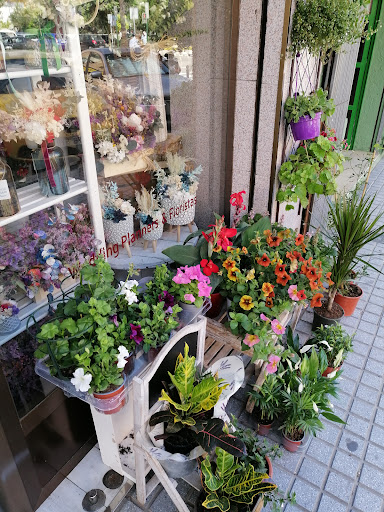 Voule Floristas y Eventos