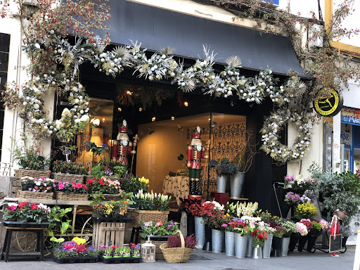 Floristería a domicilio | PINSAPO