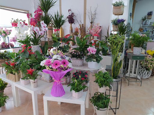Floristeria El Romero