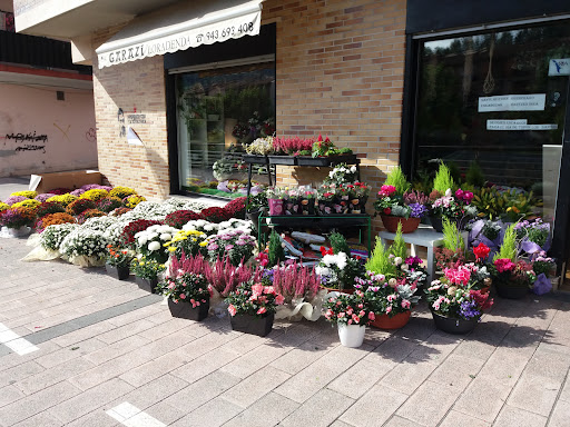 Garazi Loradenda Floristería