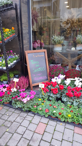 Floristería 13 Udaberri Loredenda