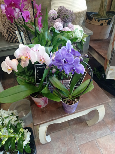 Floristería Irene Altuna Loradenda