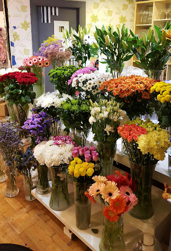 Floristería JARTXA Deba