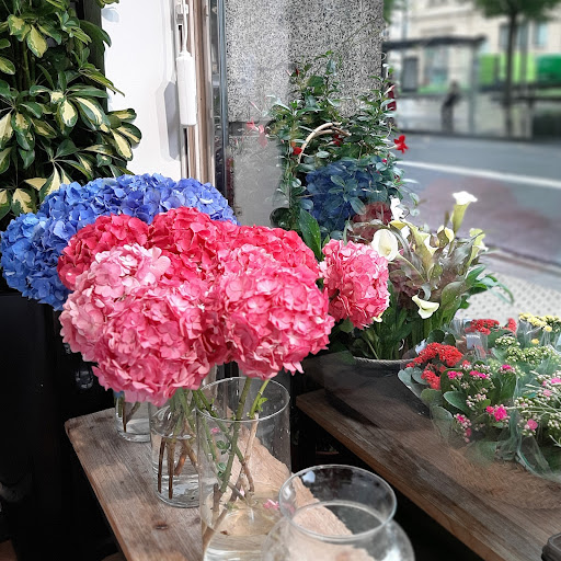 Josu irizar flowers & events Donostia 🌹