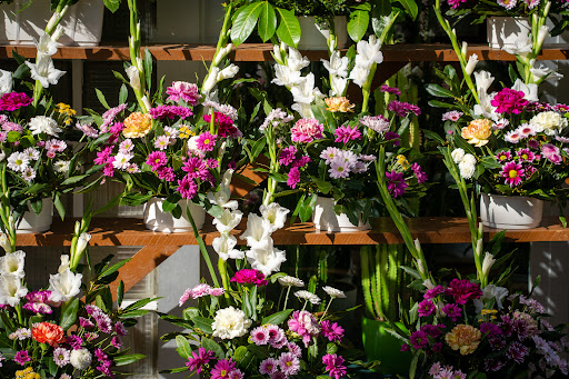 Floristería Txokoa