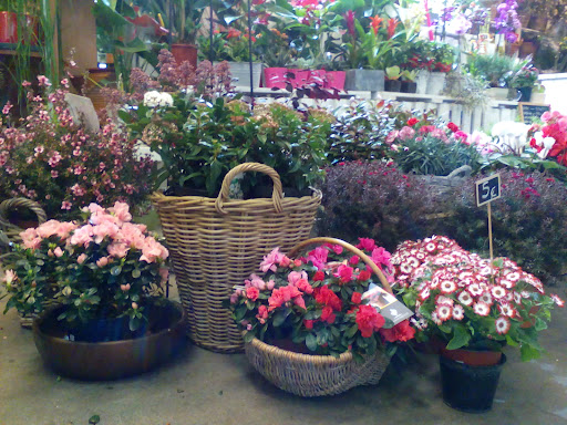 Floristería PAGOA LORADENDA Zarautz