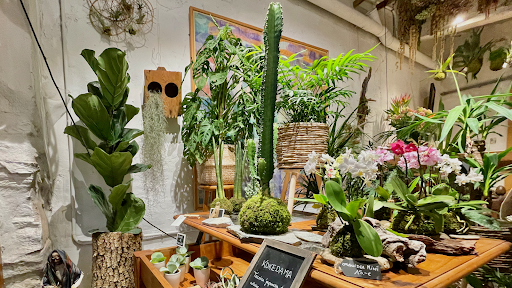 L'atelier de Su