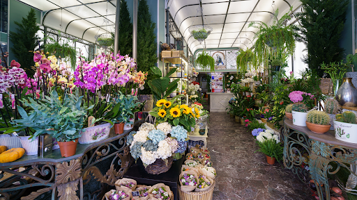 Floristería VILLA MARIA LUISA Donostia - San Sebastián
