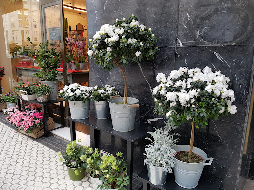 Floristeria Baigorri