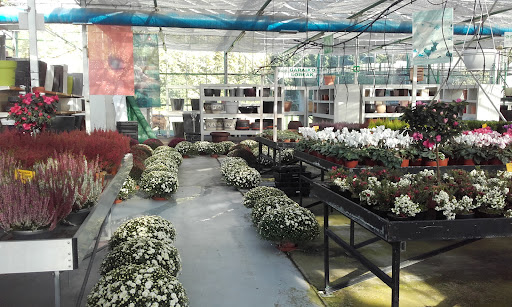 Altzibar Centro de jardineria / Vivero de plantas