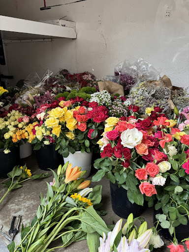 Flores Lizardi (Astigarraga)