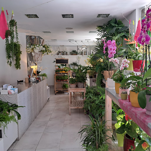 ARREGI FLORISTAS Tolosa