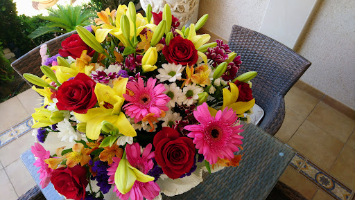 Flores Alfonso