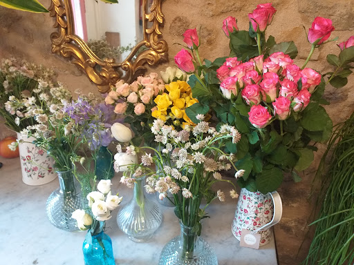 ROSA FLORS