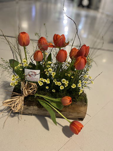 Anxi Flor