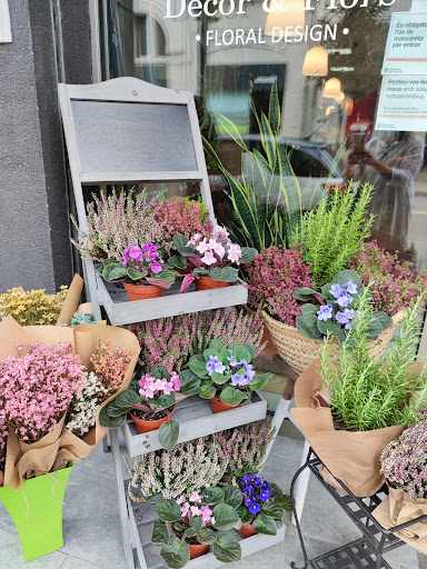 Decor & Flors
