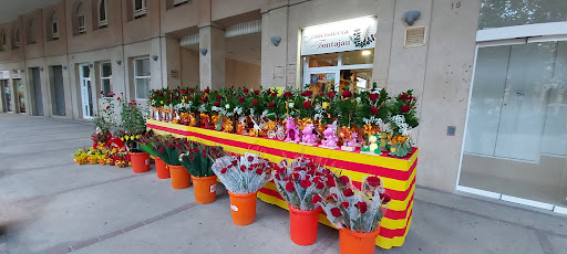 Floristeria Fontajau