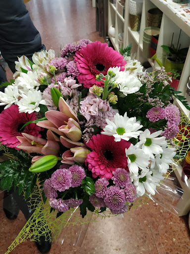 FLORS CATERINA