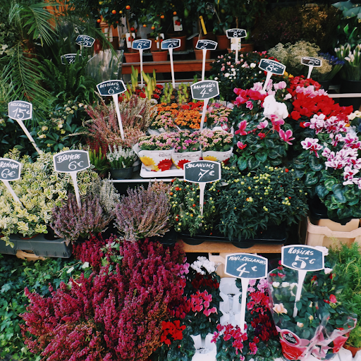 Floristeria i Jardineria Xicu