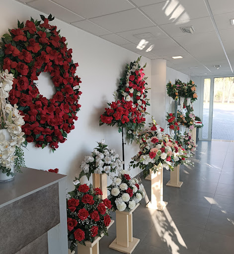 Flors Mollet